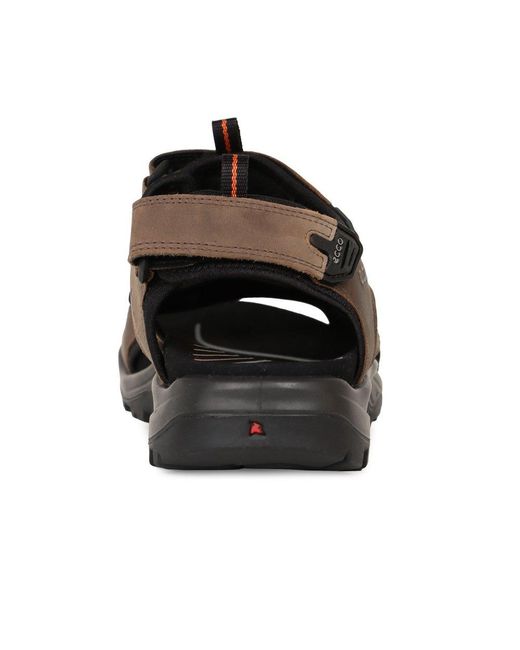 Ecco Brown Trail Casual Sandals for men