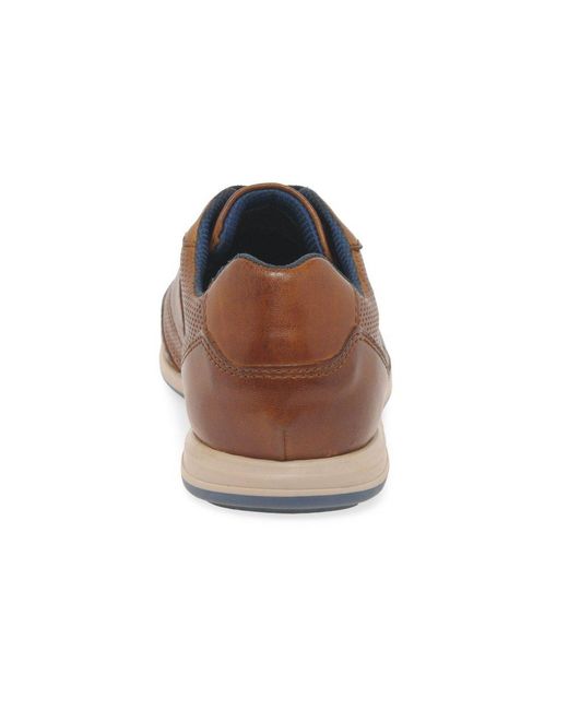 Bugatti Brown Truman Trainers for men