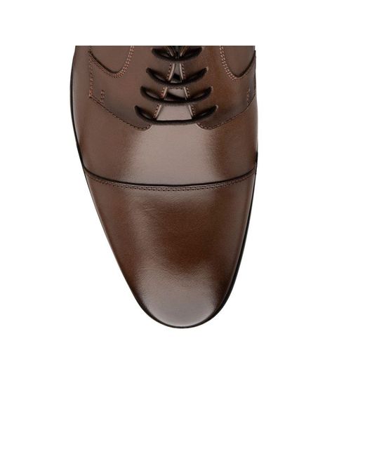 Lotus Brown Banwell Oxford Shoes for men