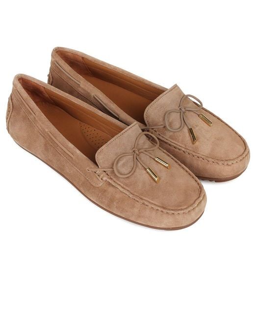 Charles Clinkard Brown All Day Moccasins