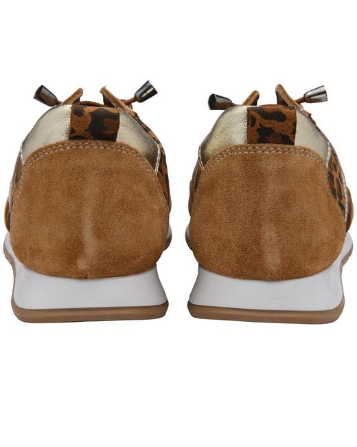 Lotus Brown Lola Trainers