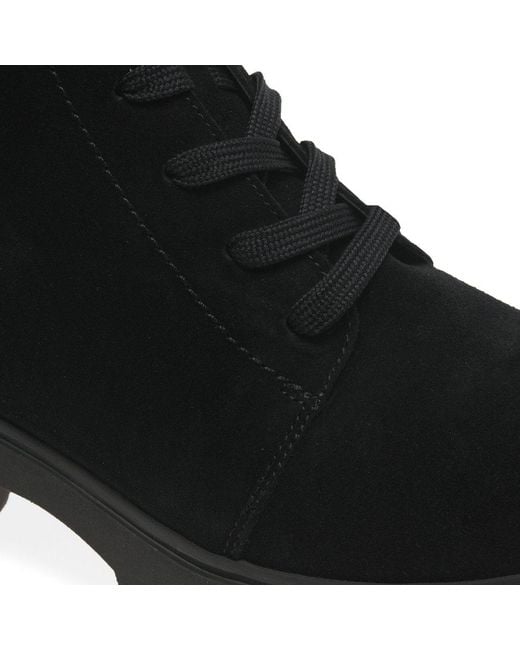 Waldläufer Purple Lucille Ankle Boots