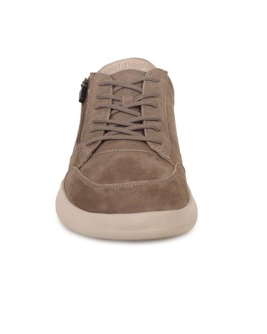 Waldläufer Brown Harry Shoes for men