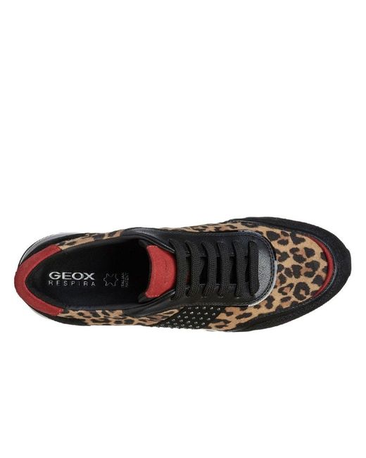 geox womens trainers