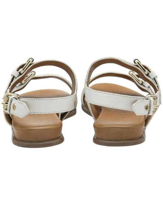 Ravel Brown Sorbie Sandals