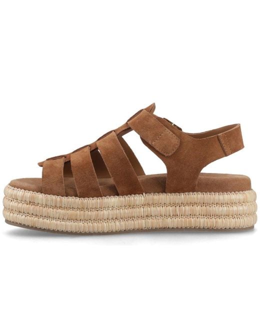 Hush Puppies Brown Rosetta Gladiator Sandals
