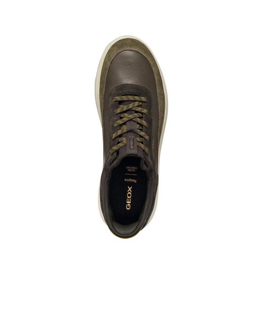 Geox Brown U Spherica Plus Trainers for men