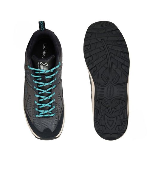 Waldläufer Blue Fred Walking Shoes for men