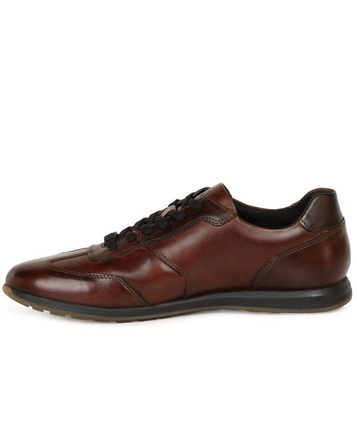 Bugatti Brown Mason Trainers for men