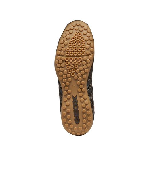 Geox Black U Snake Original Trainers for men