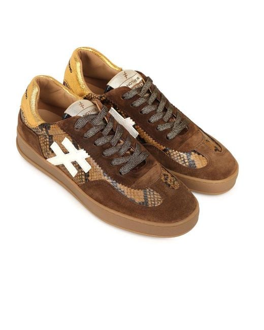 Another Trend Brown Iconic Ii Trainers
