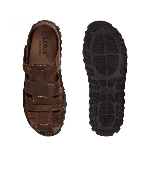 Lotus Brown Bruno Sandals for men