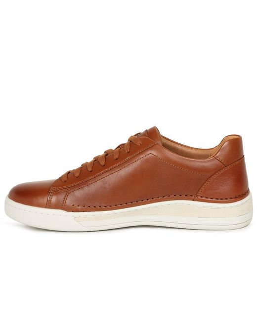 Josef Seibel Brown Cleve 02 Trainers for men