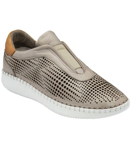 Lotus Multicolor Lorena Trainers