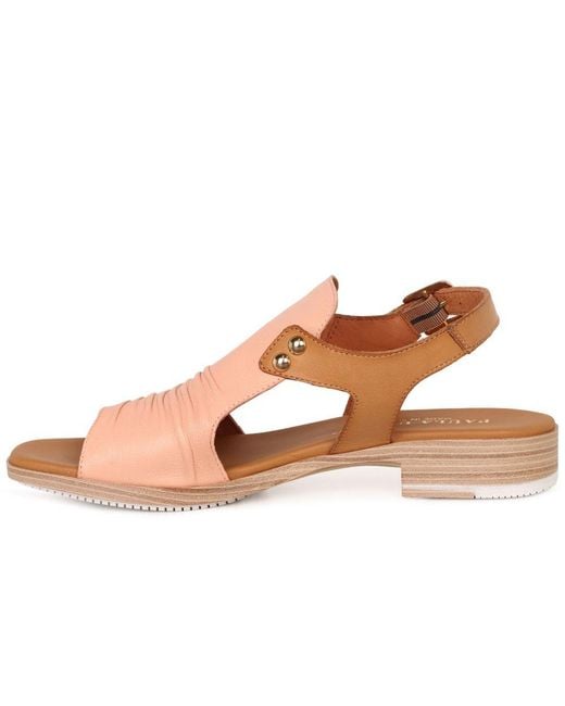 Paula Urban Brown Coastal Buckle Fastening Sandals
