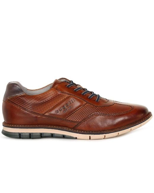 Bugatti Brown Steller Trainers for men