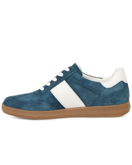 Caprice Blue Map Trainers