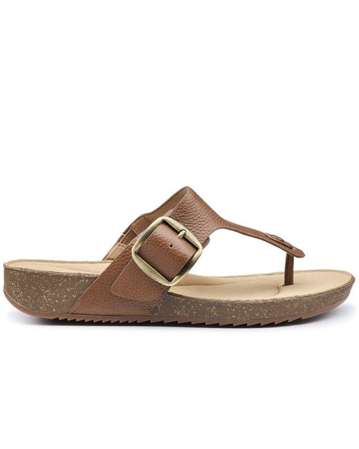 Hotter Brown Resort Toe Post Sandals