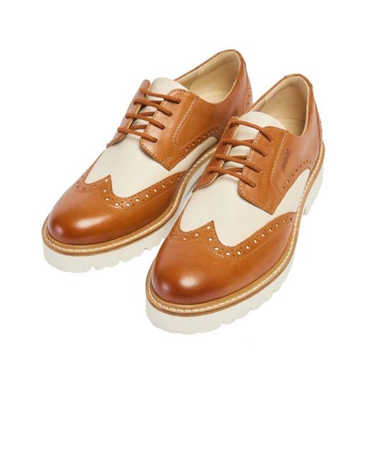 Pod Brown Kortney Lace Up Brogues