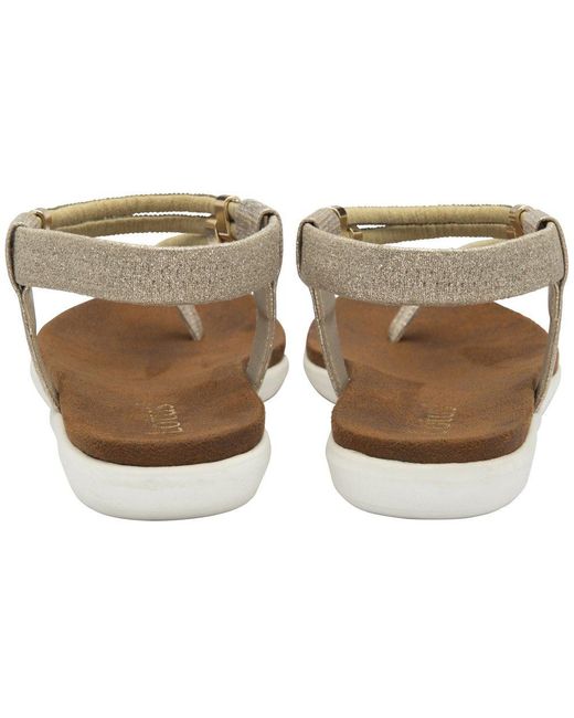 Lotus Metallic Chica Toe Post Sandals