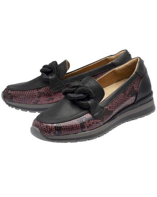 Lotus Black Maybelle Loafers