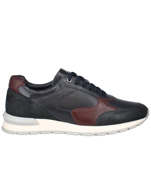 Josef Seibel Blue Carry 01 Trainers for men