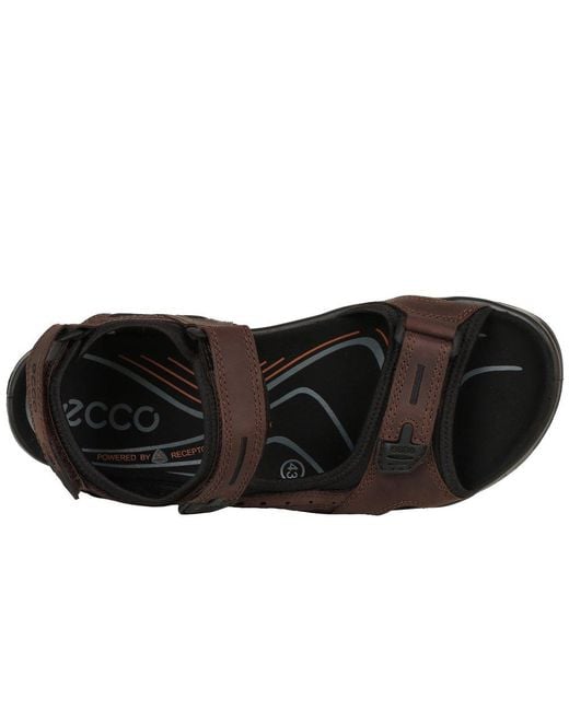 Ecco Brown Yucatan Rip Tape Fastening Sandals for men