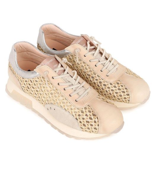 Hispanitas Natural Oregon Trainers