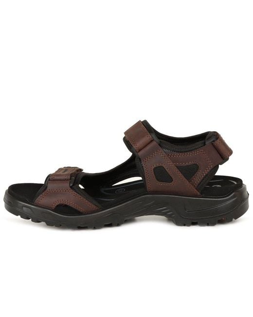 Ecco Brown Yucatan Rip Tape Fastening Sandals for men
