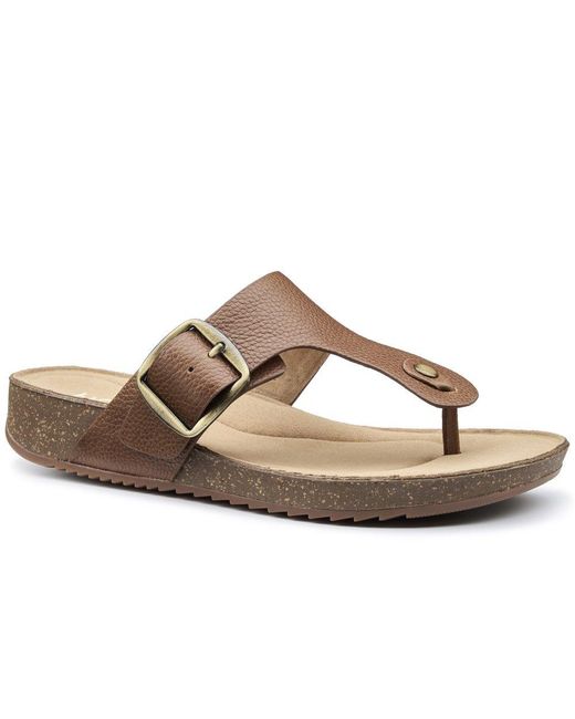 Hotter Brown Resort Toe Post Sandals