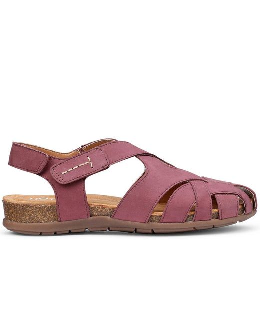 Hotter Purple Carpa Sandals