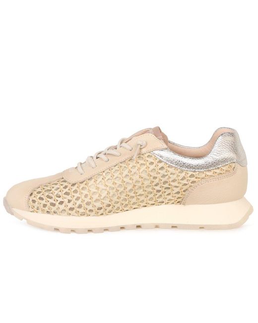 Hispanitas Natural Oregon Trainers