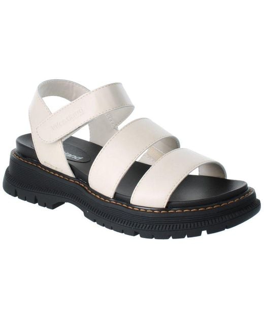 Westland Multicolor Peyton 08 Sandals