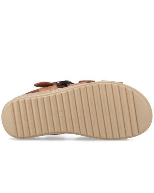 Hush Puppies Brown Eliana Sandals