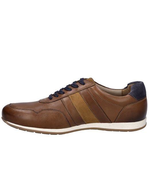 Josef Seibel Brown Colby 02 Trainers for men