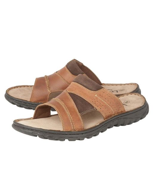 Lotus Brown Cole Mule Sandals for men