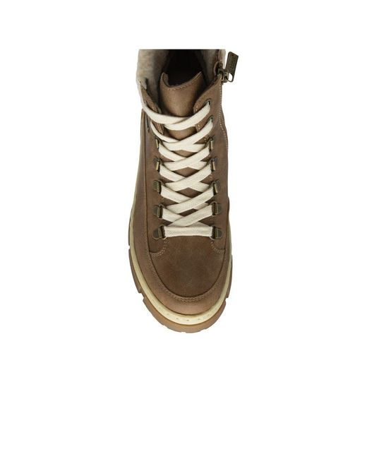 Lotus Brown Conniston Ankle Boots