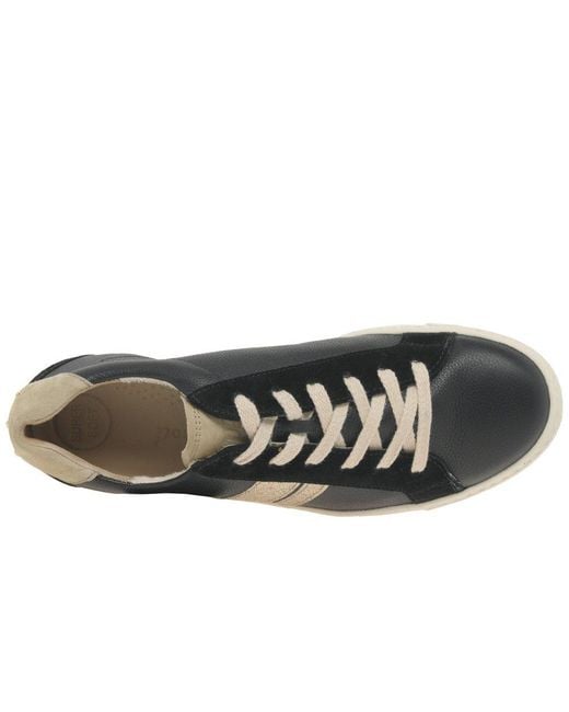 Paul Green Blue Lulu Trainers