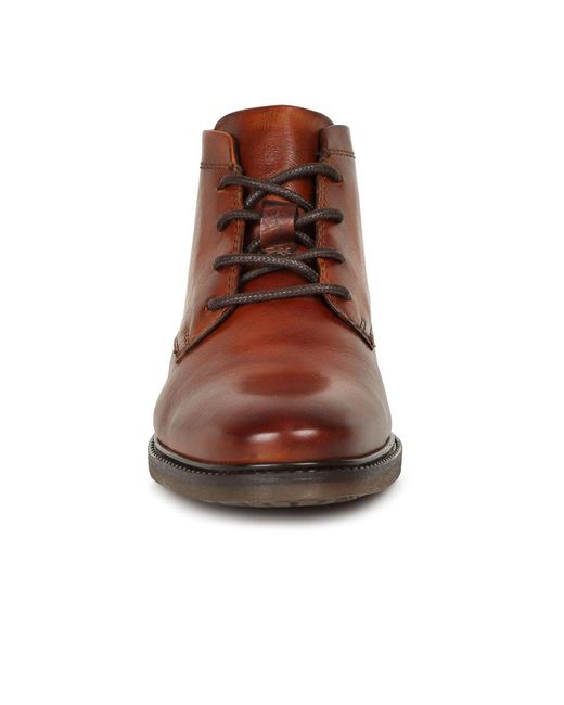 Bugatti Brown Empire Boots for men