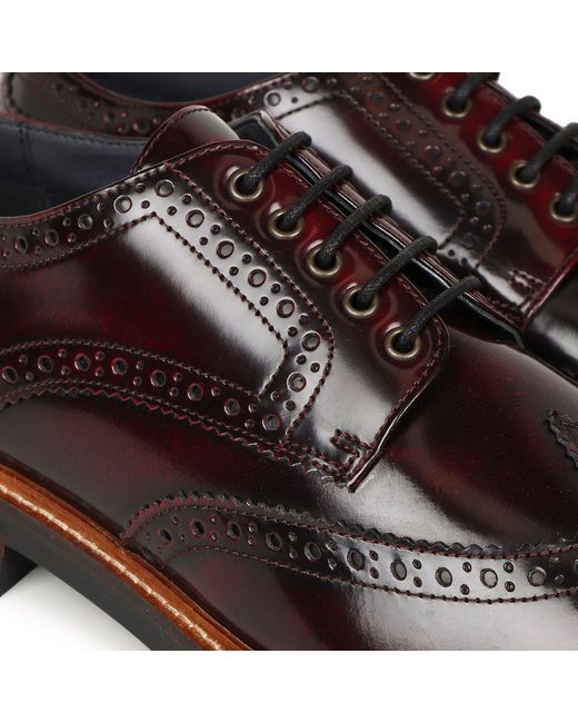 Base London Brown Woburn Brogues for men
