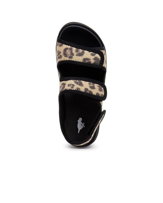Rocket Dog Black Balmy Dexter Sandals