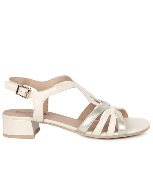 Caprice Metallic Compass Sandals