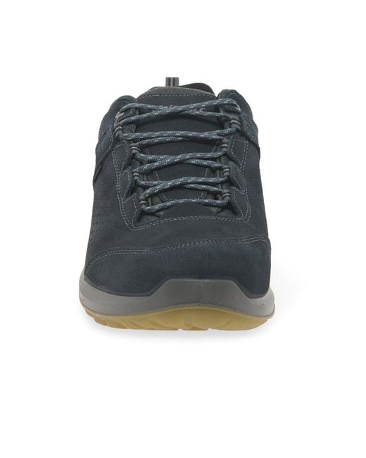 Grisport Blue Icarus Walking Shoes for men