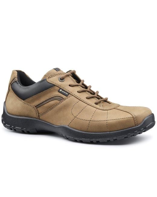 Hotter Brown Thor Ii Gtx Walking Shoes for men