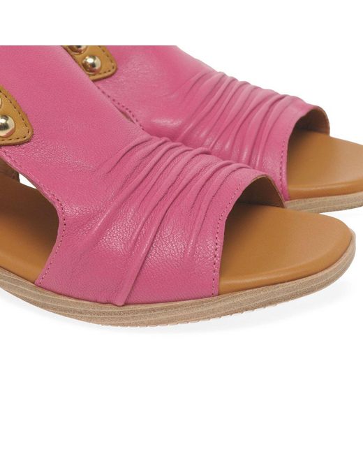Paula Urban Pink Coastal Buckle Fastening Sandals