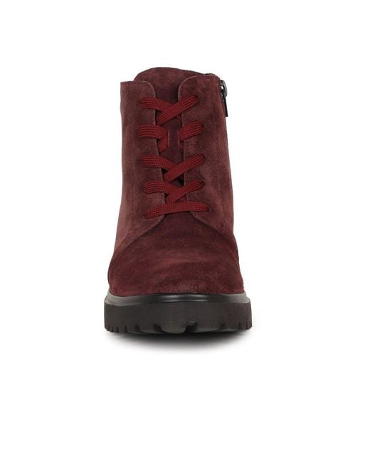 Waldläufer Brown Lucille Ankle Boots
