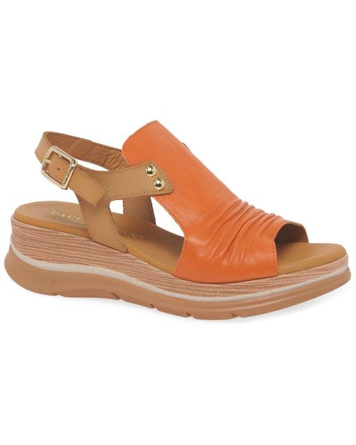 Paula Urban Brown Riviera Ii Sandals
