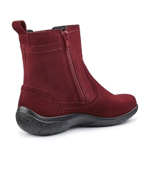 Hotter suede boots best sale