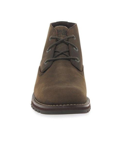 Timberland Brown Larchmont 2 Waterproof Chukka Boots for men