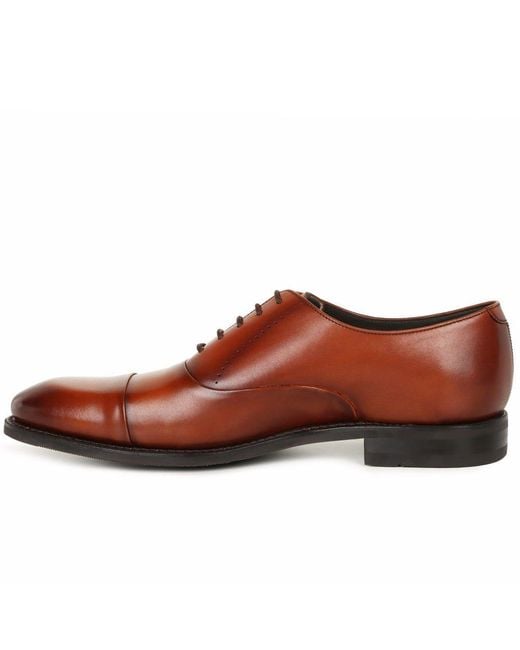 Loake Brown Phoenix Formal Toe Cap Shoes for men